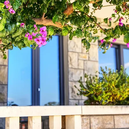 Lenka And Mate Ivanac Brela