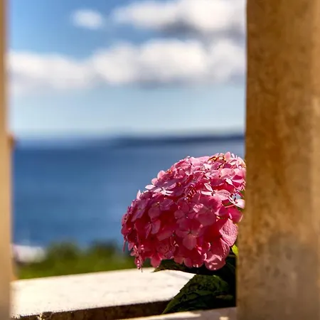 Apartment Lenka And Mate Ivanac Brela