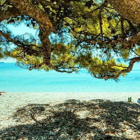 Lenka And Mate Ivanac * 브렐라