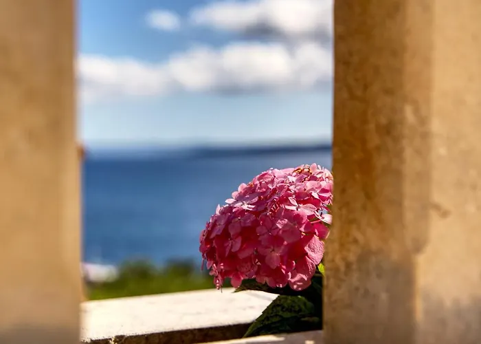 Lägenhet Lenka And Mate Ivanac Brela